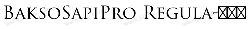 BaksoSapiPro Regula字体转换